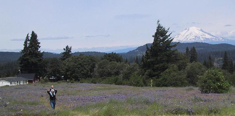 On Moms Shoulders.jpg